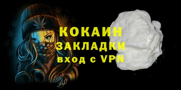 индика Слюдянка