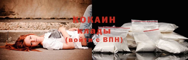 индика Слюдянка