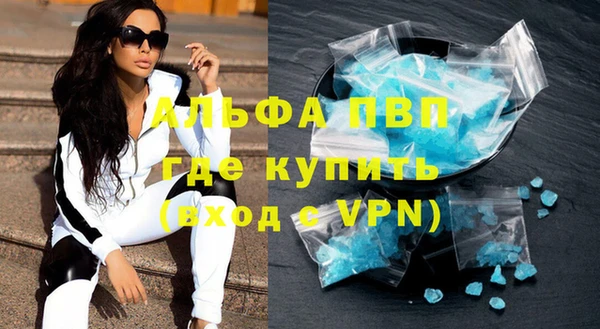 индика Слюдянка