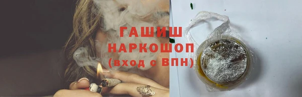 индика Слюдянка