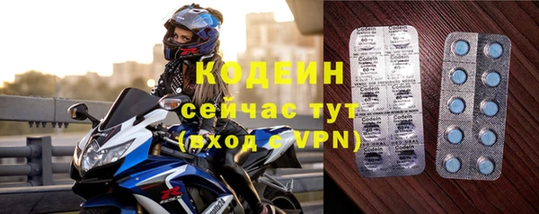 индика Слюдянка