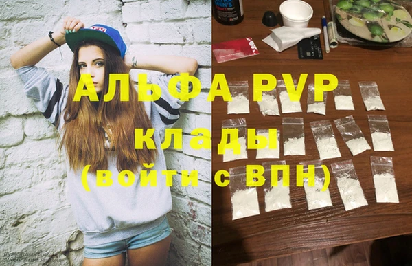индика Слюдянка