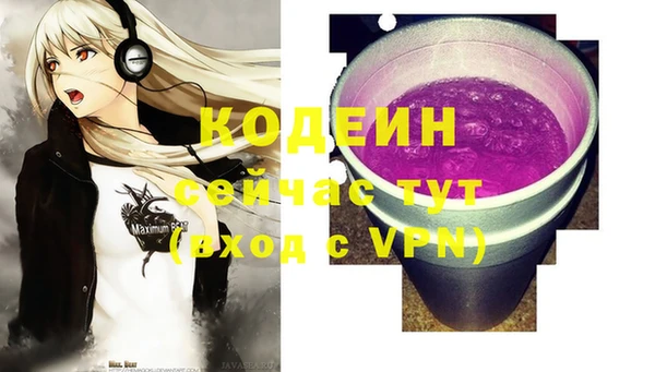 индика Слюдянка