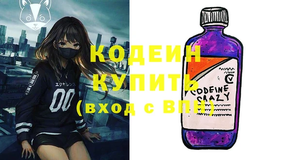индика Слюдянка