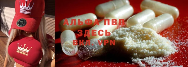 индика Слюдянка