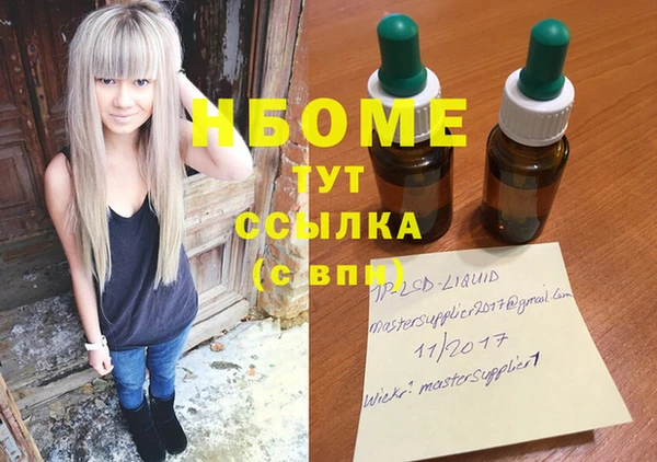 индика Слюдянка