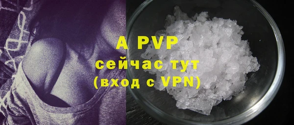 индика Слюдянка