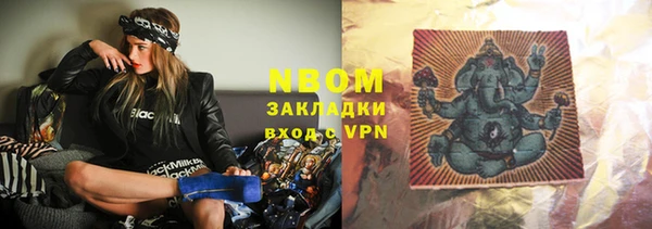 индика Слюдянка